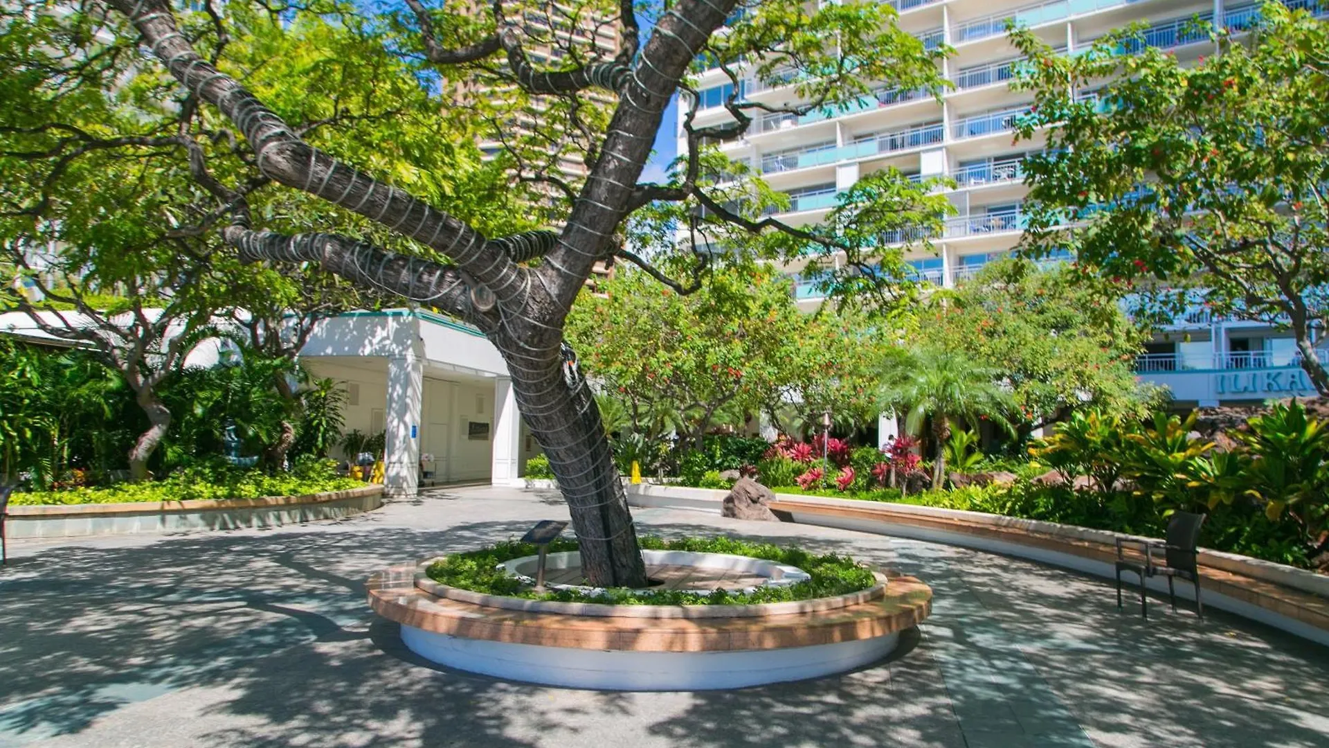 Апартаменты Ilikai Tower 936 Lagoon View 1Br Гонолулу США